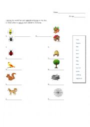 English Worksheet: Backyard Animals Habitat