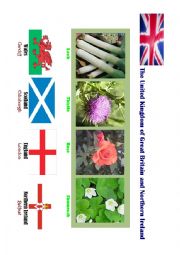 English Worksheet: The United Kingdom 