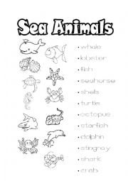 Sea Animals