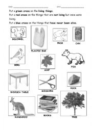 English Worksheet: Living things