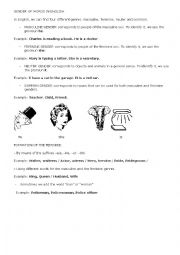 English Worksheet: GENDER IN ENGLISH - GENDER FORMATION