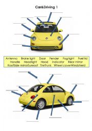 English Worksheet: Car and driving 1