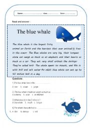 English Worksheet: blue whale