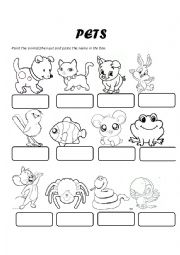 English Worksheet: Pets