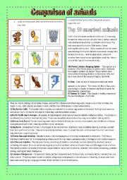 English Worksheet: Comparison of animals