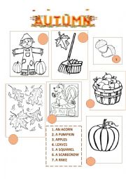 English Worksheet: AUTUMN / FALL VOCABULARY