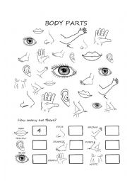 English Worksheet: Body Parts, Colour and count