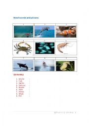English Worksheet: Animals