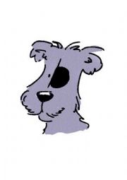 English Worksheet: Animals