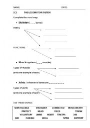 English Worksheet: The locomotor system