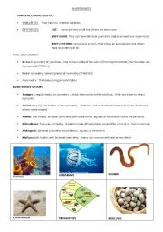 English Worksheet: Invertebrates study sheet