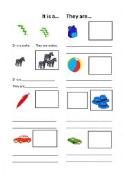 English Worksheet: Plurals