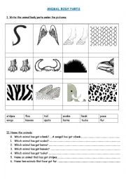 Animal body parts