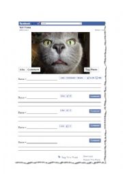 English Worksheet: Diary and Comments - Facebook Post - 3/6