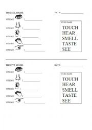 English Worksheet: The five senses