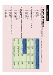 English Worksheet: Plural in English