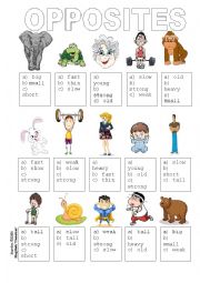 English Worksheet: ADJECTIVES / OPPOSITES  (editable)