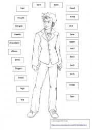 English Worksheet: Body linking with song