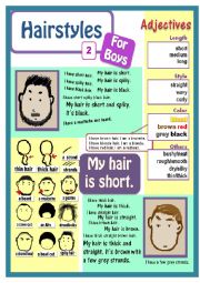 English Worksheet: How to describe hairstyles for boys