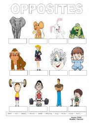 English Worksheet: ADJECTIVES / OPPOSITES (editable)