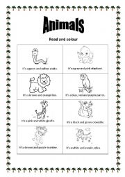 Animals in the Jungle