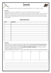 English Worksheet: Insects