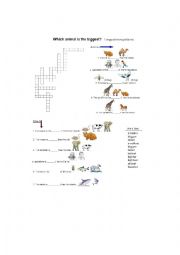 comparative & superlative