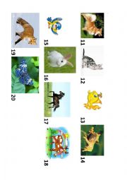 Numbers 11-20, animals