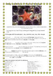 English Worksheet: Starfish