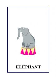 English Worksheet: Animals flashcards.