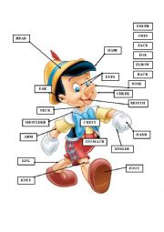 English Worksheet: body parts