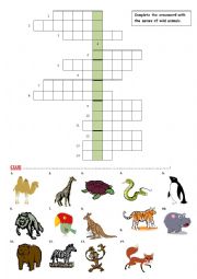 English Worksheet: Wild Animals- crossword