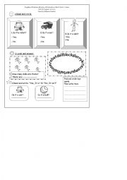 English Worksheet: activity