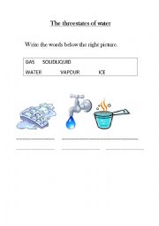 English Worksheet: States of water