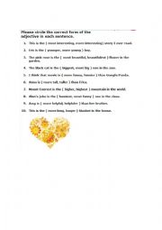 English Worksheet: Adjectives