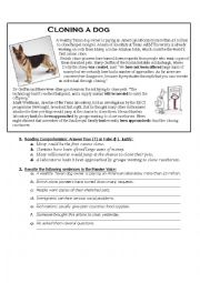 English Worksheet: Clonning a dog