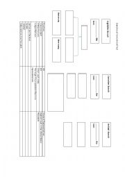 Branches of Government 