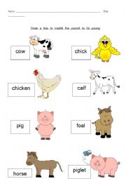 English Worksheet: Baby Animals Match