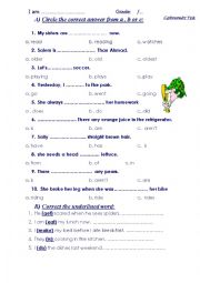 English Worksheet: GRAMMAR TEST