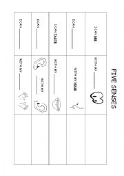 English Worksheet: Five senses