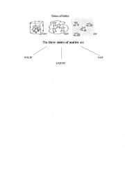 English Worksheet: states of matter
