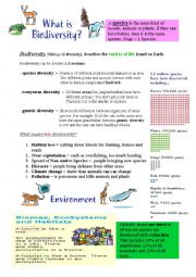 English Worksheet: Biodiversity Info Sheet