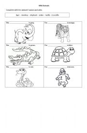 English Worksheet: Wild Animals