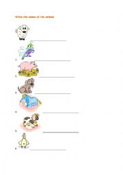 English Worksheet: animals