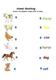 Animal Names