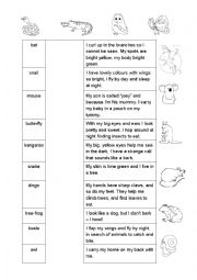 English Worksheet: Australian Animals