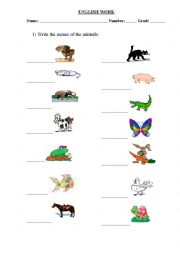 English Worksheet: animals