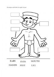 English Worksheet: Body Parts Worksheet