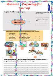 English Worksheet: preparing for the trip lesson (4) module 1