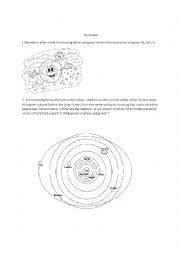 English Worksheet: Worksheet - Cardinal Points and Solar System